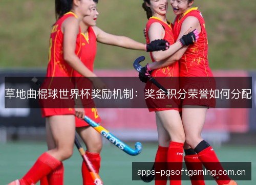 草地曲棍球世界杯奖励机制：奖金积分荣誉如何分配